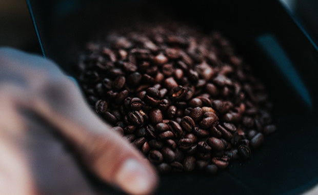 Probiersets kräftiger und säurearmer Kaffees