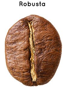 Robusta-Bohnen